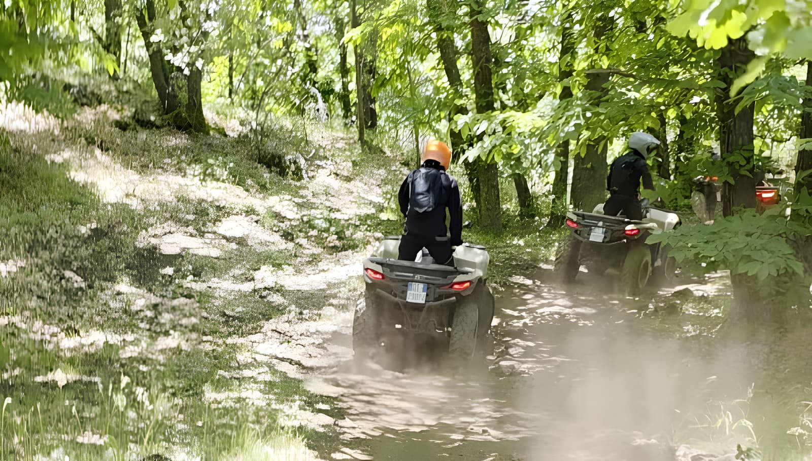 Quad biking adventure on Etna's forest paths